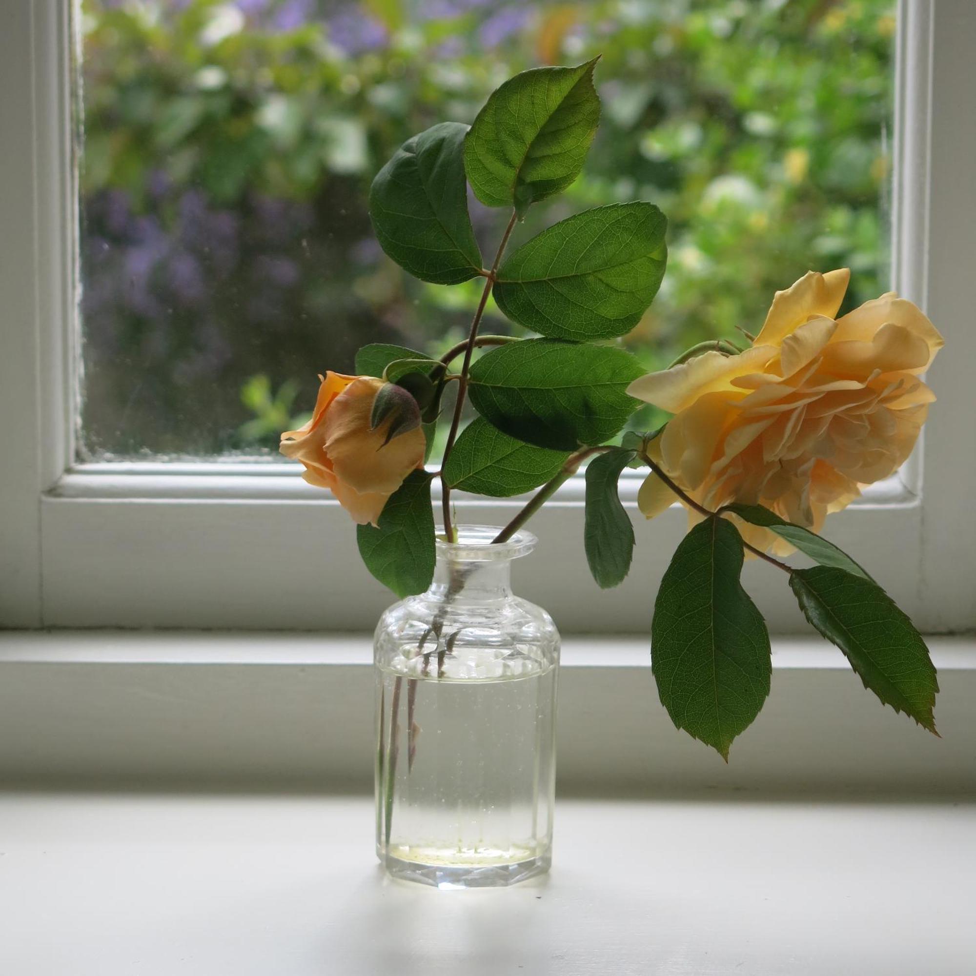 Characterful Cotswold Cottage Cirencester Bagian luar foto